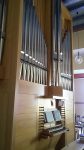 Orgel-1_500
